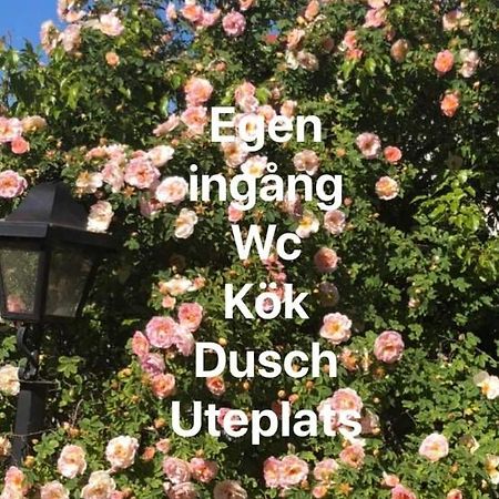 Villa Verdi 보리홀름 외부 사진