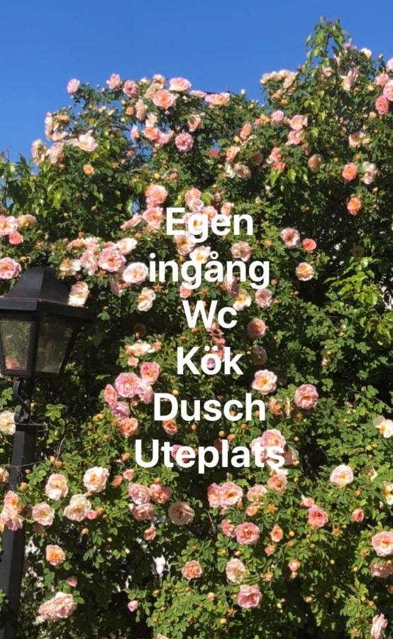 Villa Verdi 보리홀름 외부 사진